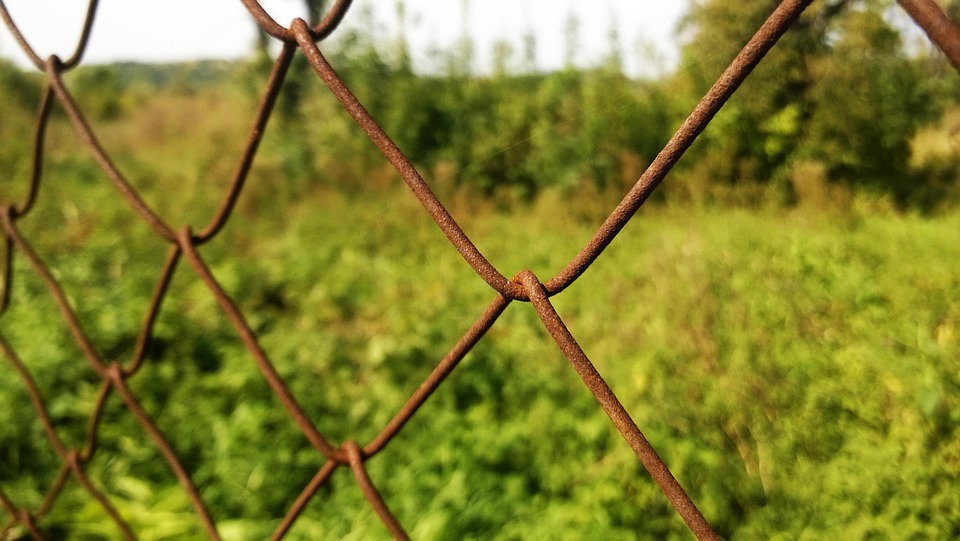 Wycena podziału działki: Jakie formalności musisz spełnić, aby sprzedać tylko część swojej nieruchomości?